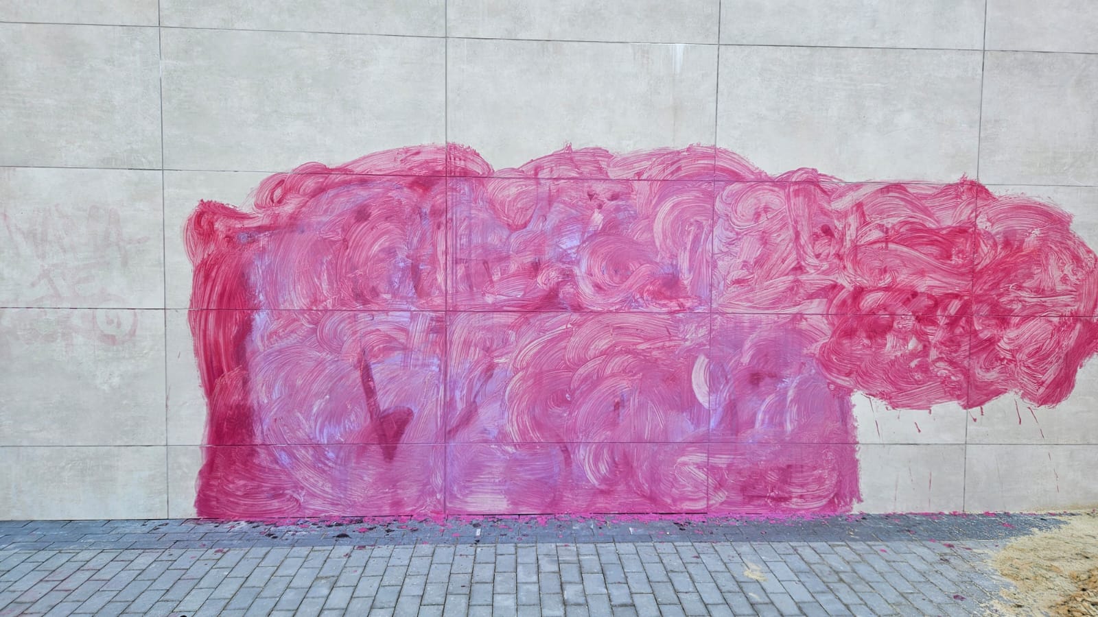 Limpieza de graffitis valladolid